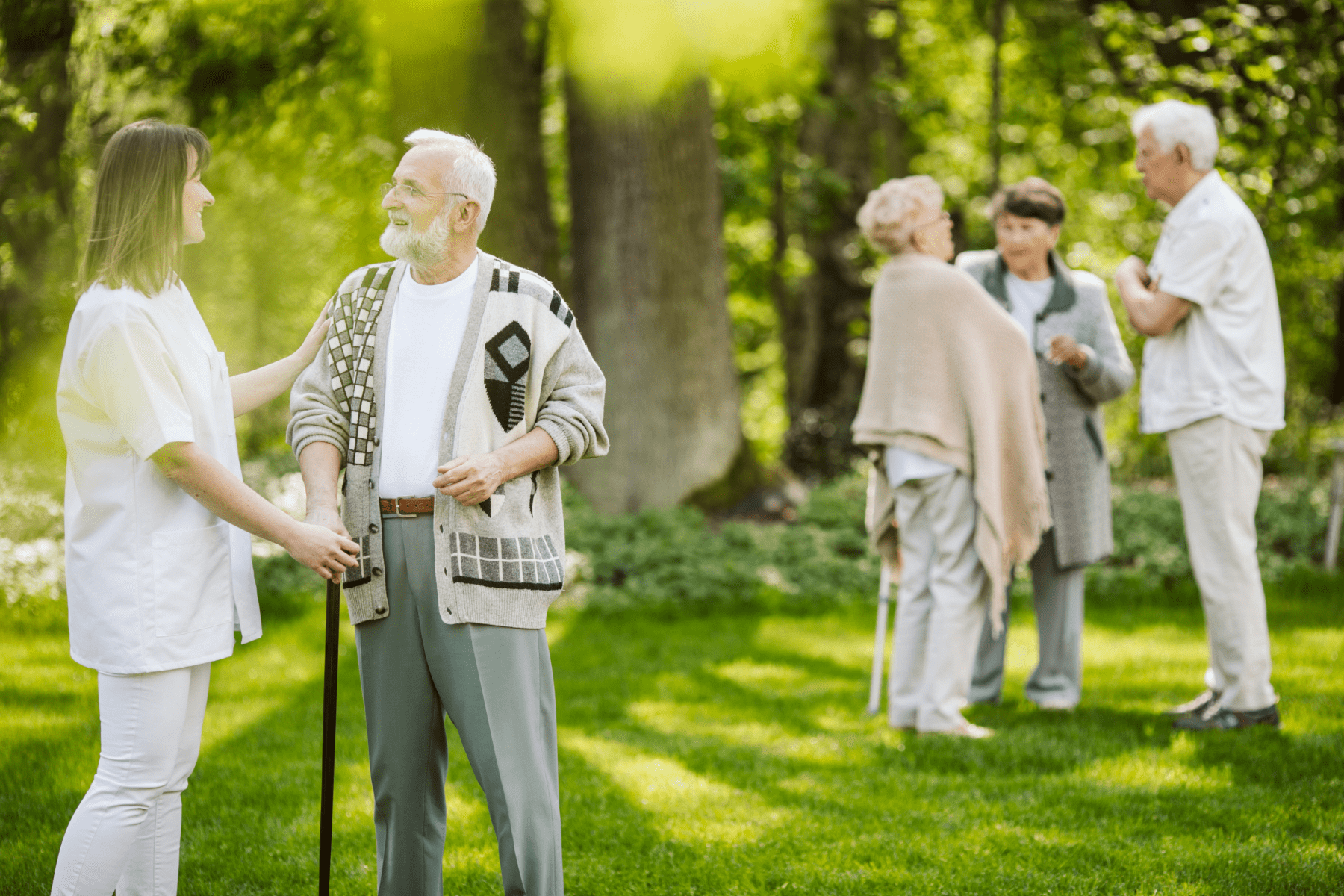 In home care services
